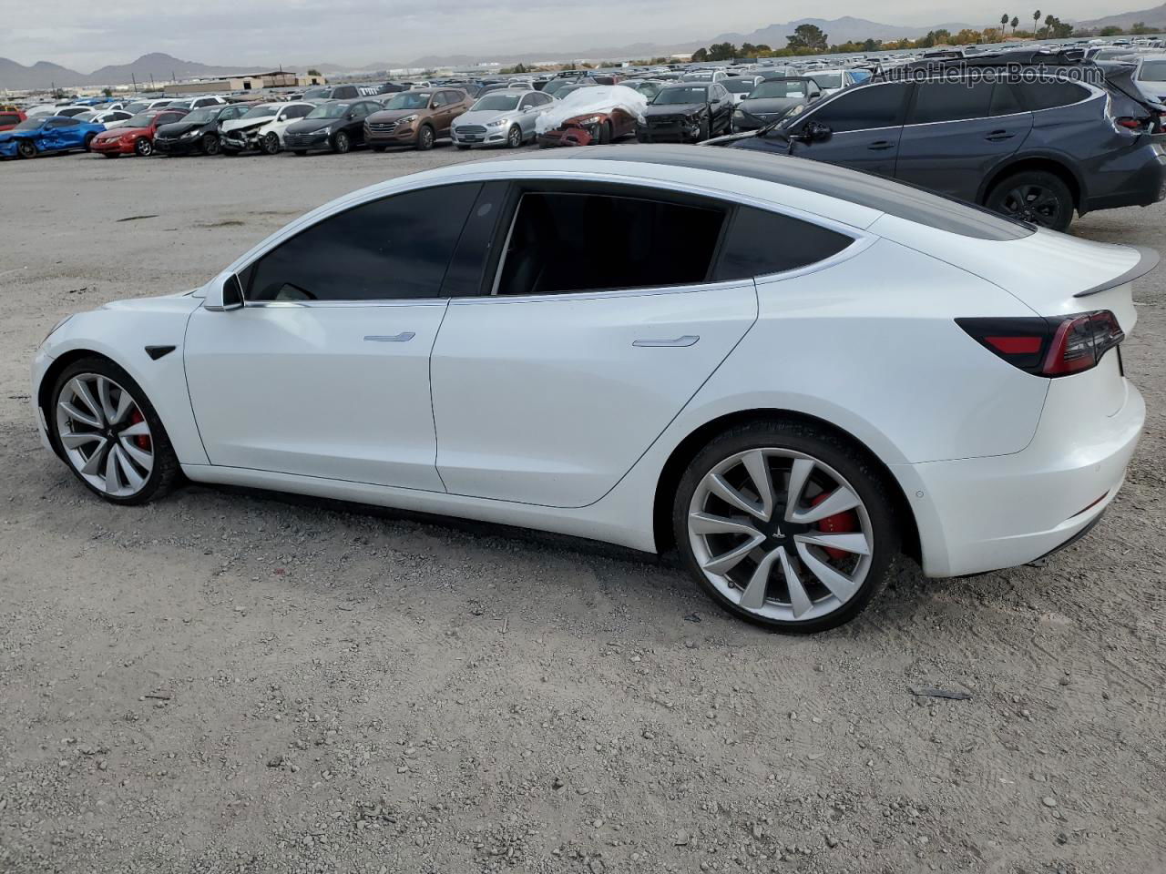 2019 Tesla Model 3  White vin: 5YJ3E1EB7KF231397