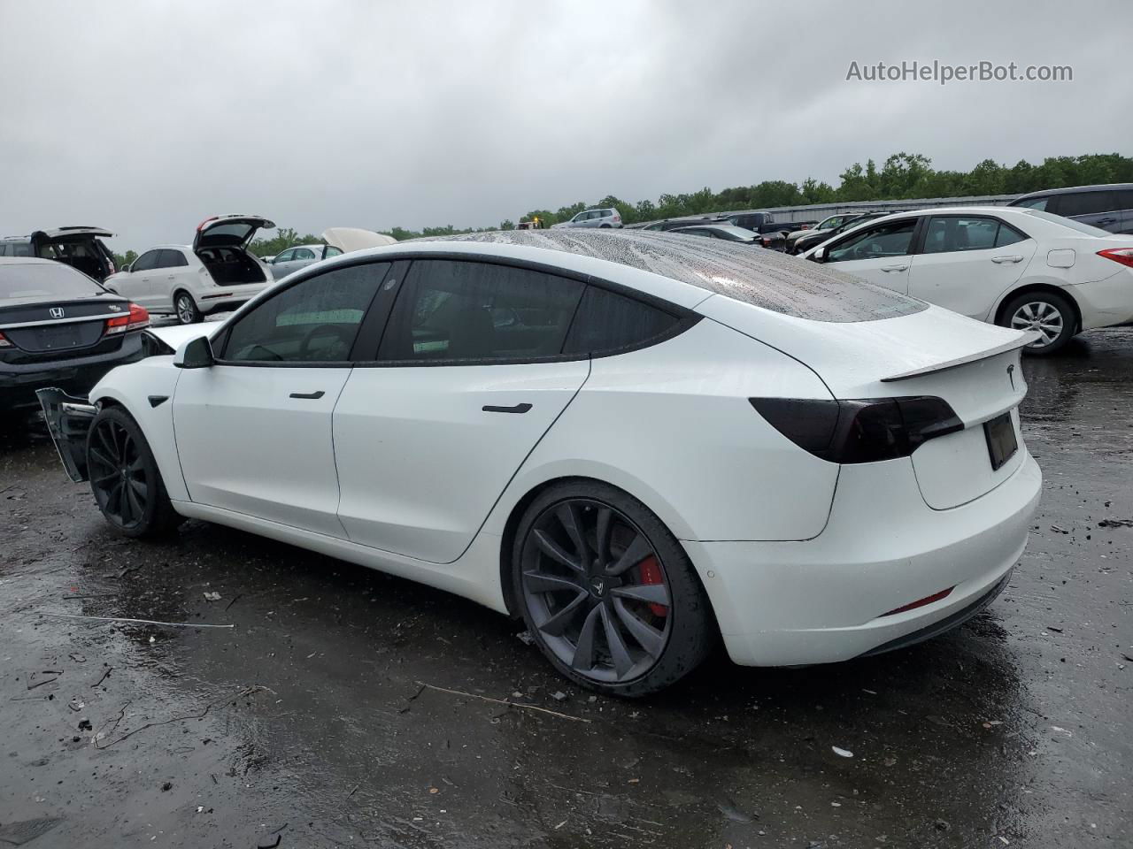 2019 Tesla Model 3  White vin: 5YJ3E1EB7KF423192