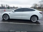 2019 Tesla Model 3 Performance/long Range Белый vin: 5YJ3E1EB7KF469606