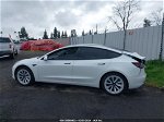 2021 Tesla Model 3 Long Range Dual Motor All-wheel Drive White vin: 5YJ3E1EB7MF071542