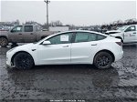 2021 Tesla Model 3 Long Range Dual Motor All-wheel Drive Белый vin: 5YJ3E1EB7MF094903