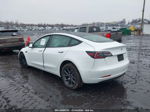 2021 Tesla Model 3 Long Range Dual Motor All-wheel Drive Белый vin: 5YJ3E1EB7MF094903