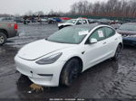 2021 Tesla Model 3 Long Range Dual Motor All-wheel Drive Белый vin: 5YJ3E1EB7MF094903