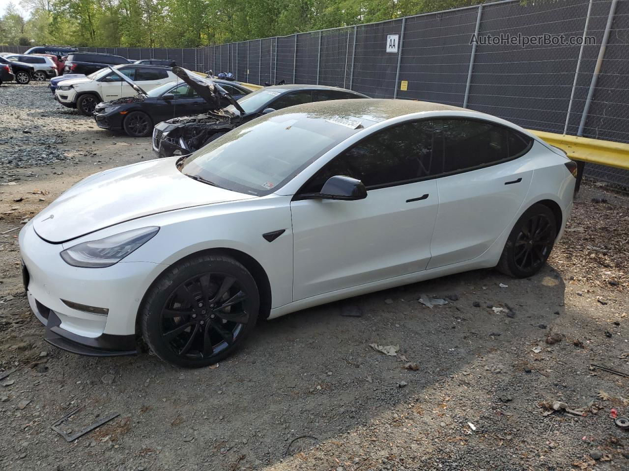 2021 Tesla Model 3  White vin: 5YJ3E1EB7MF858393