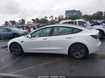 2021 Tesla Model 3 Long Range Dual Motor All-wheel Drive White vin: 5YJ3E1EB7MF876148