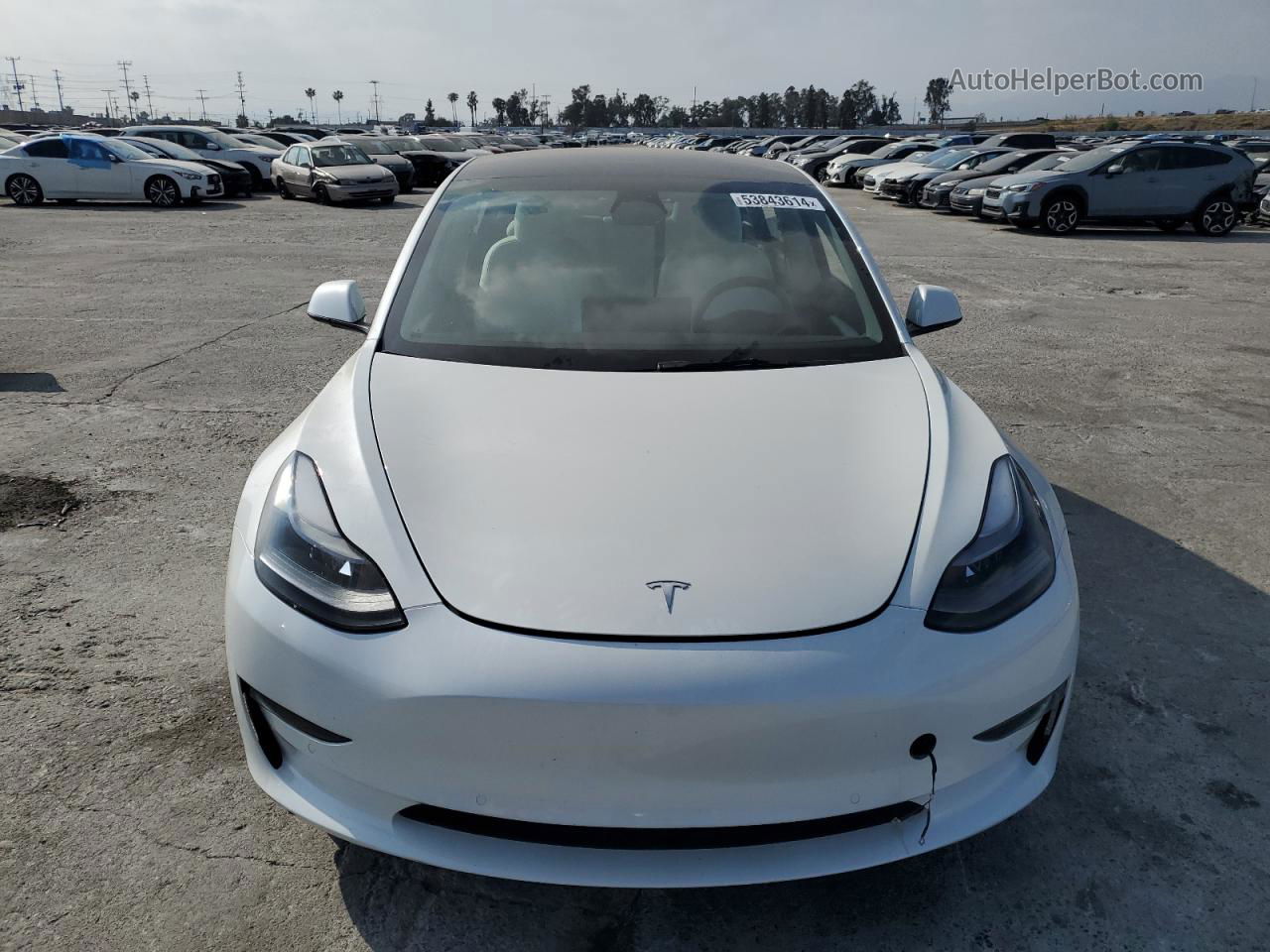 2022 Tesla Model 3  White vin: 5YJ3E1EB7NF311786