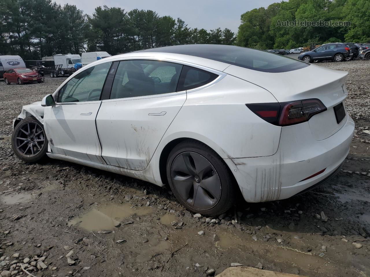 2019 Tesla Model 3  White vin: 5YJ3E1EB8KF511569