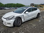 2019 Tesla Model 3  White vin: 5YJ3E1EB8KF511569