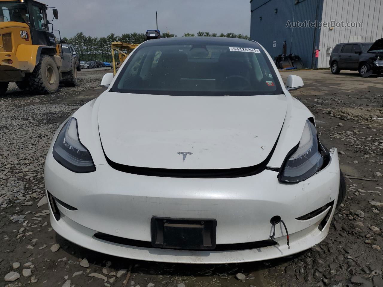 2019 Tesla Model 3  White vin: 5YJ3E1EB8KF511569