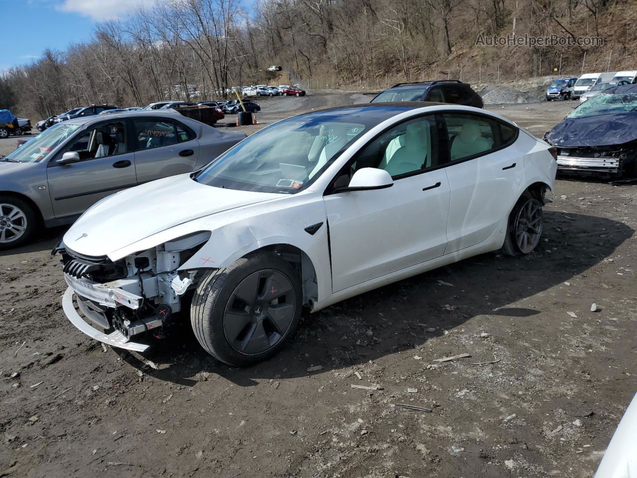 2021 Tesla Model 3  White vin: 5YJ3E1EB8MF034225