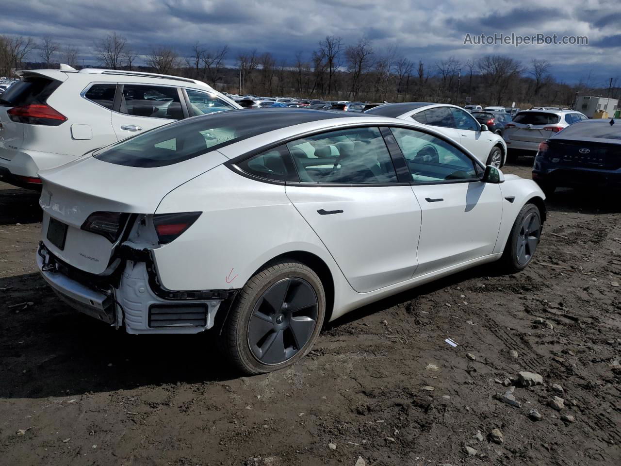 2021 Tesla Model 3  White vin: 5YJ3E1EB8MF034225