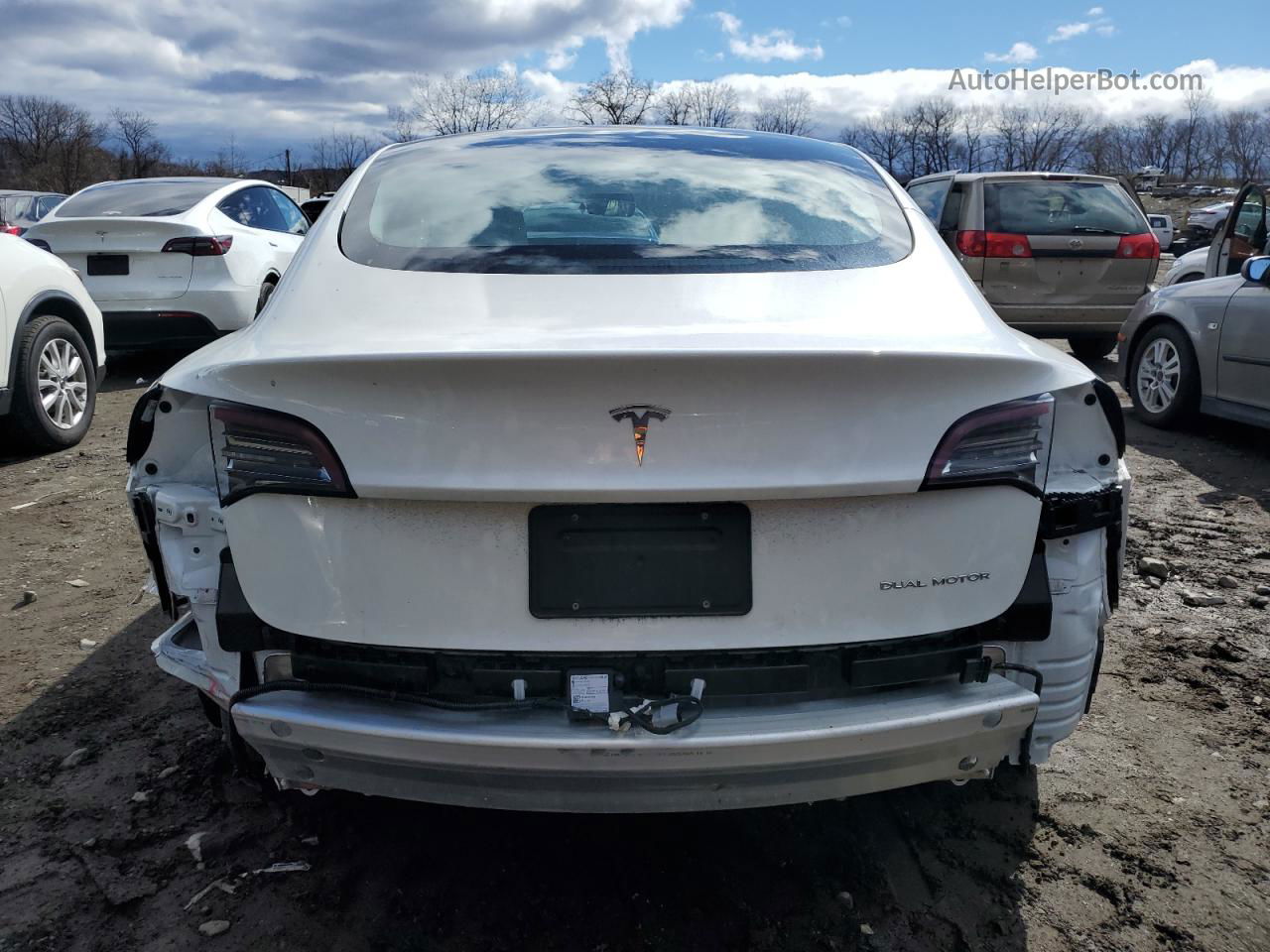 2021 Tesla Model 3  White vin: 5YJ3E1EB8MF034225