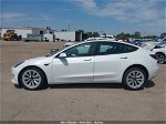 2021 Tesla Model 3 Long Range White vin: 5YJ3E1EB8MF044382