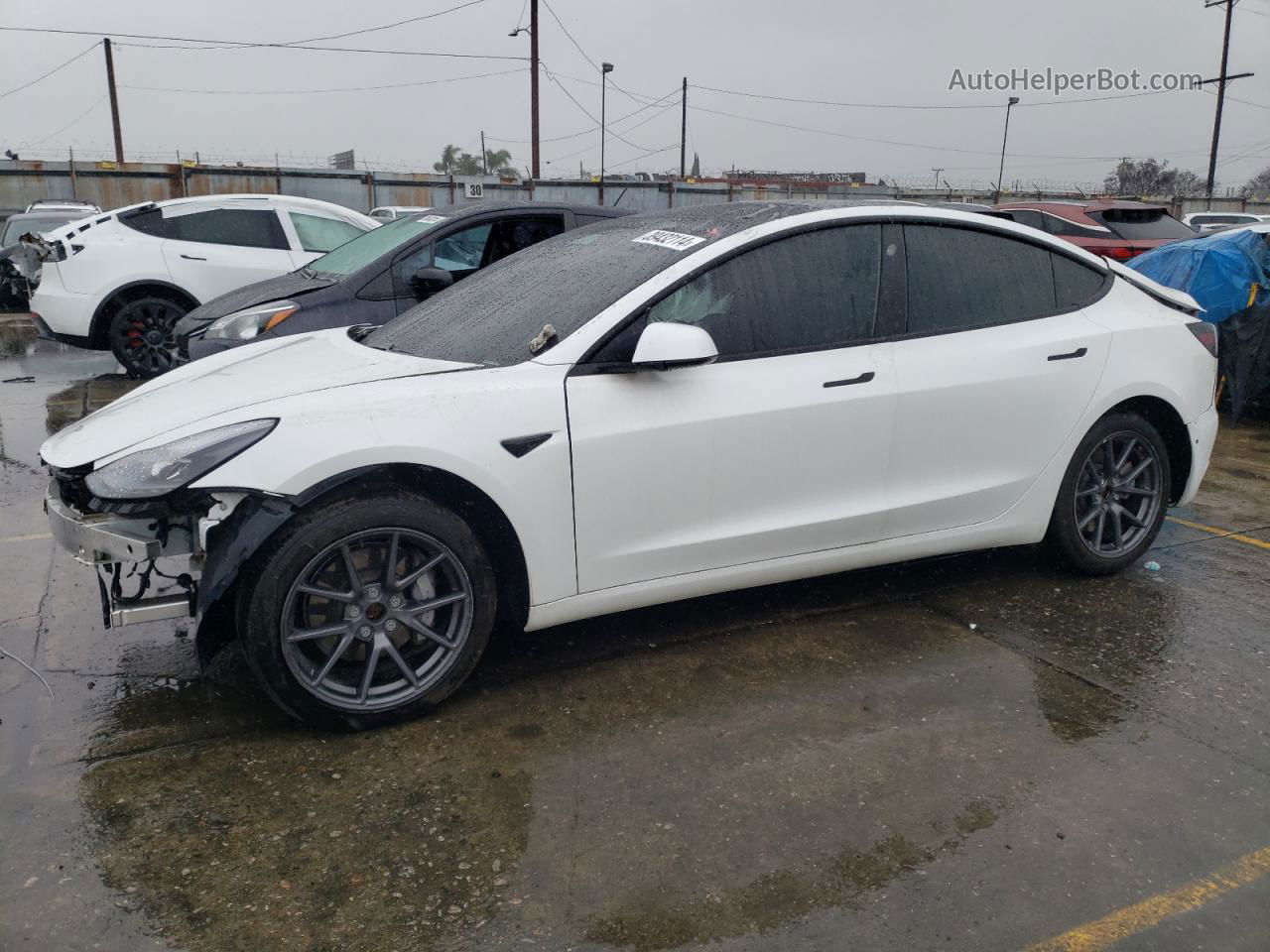 2021 Tesla Model 3 White vin: 5YJ3E1EB8MF938088