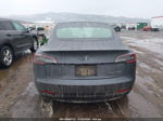 2019 Tesla Model 3 Long Range/performance Gray vin: 5YJ3E1EB9KF389420