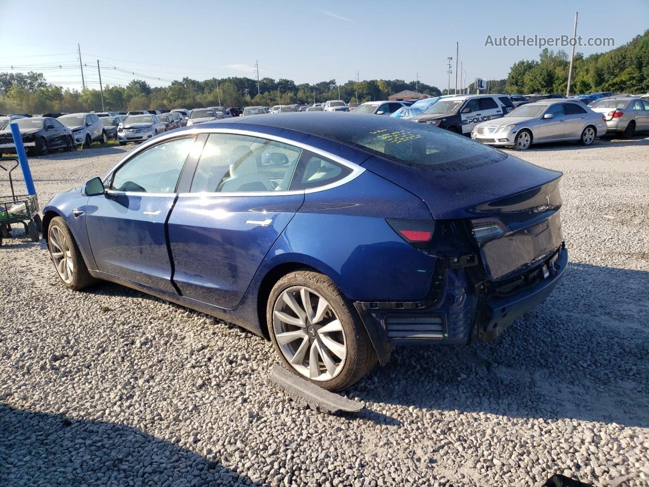 2019 Tesla Model 3  Blue vin: 5YJ3E1EBXKF192529