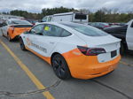 2019 Tesla Model 3 Long Range/performance White vin: 5YJ3E1EBXKF197083