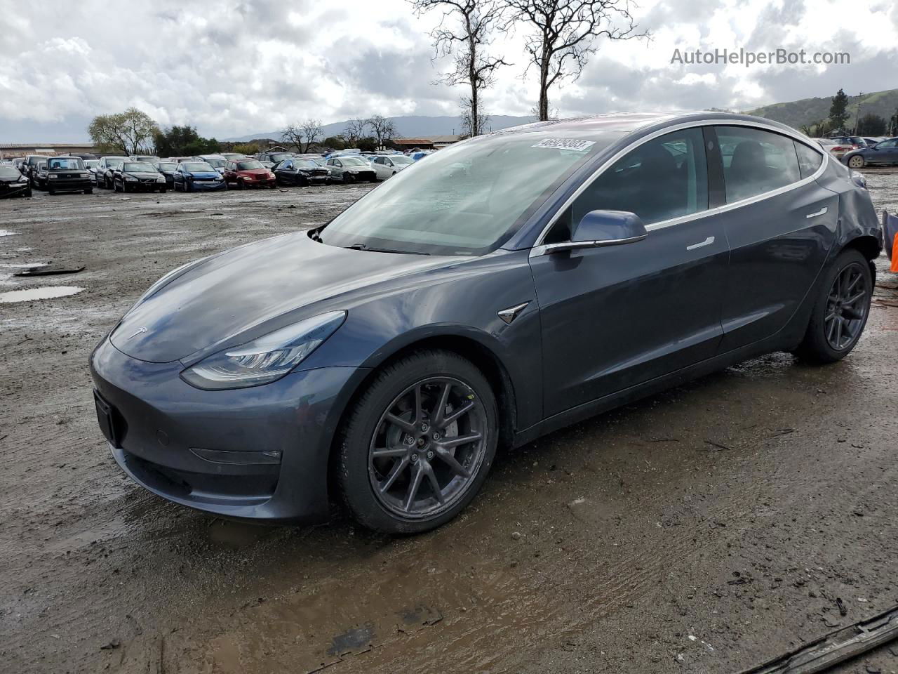 2019 Tesla Model 3  Charcoal vin: 5YJ3E1EBXKF205439