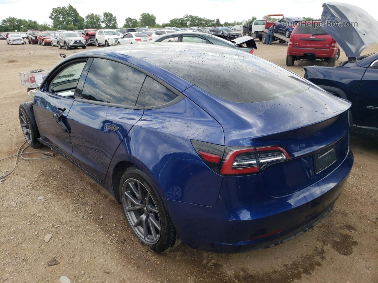 2019 Tesla Model 3  Blue vin: 5YJ3E1EBXKF454386