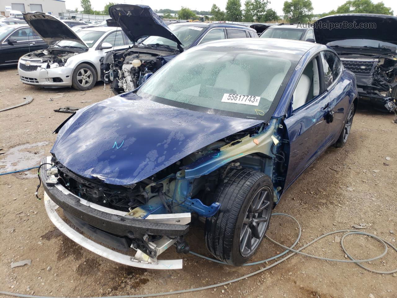 2019 Tesla Model 3  Blue vin: 5YJ3E1EBXKF454386