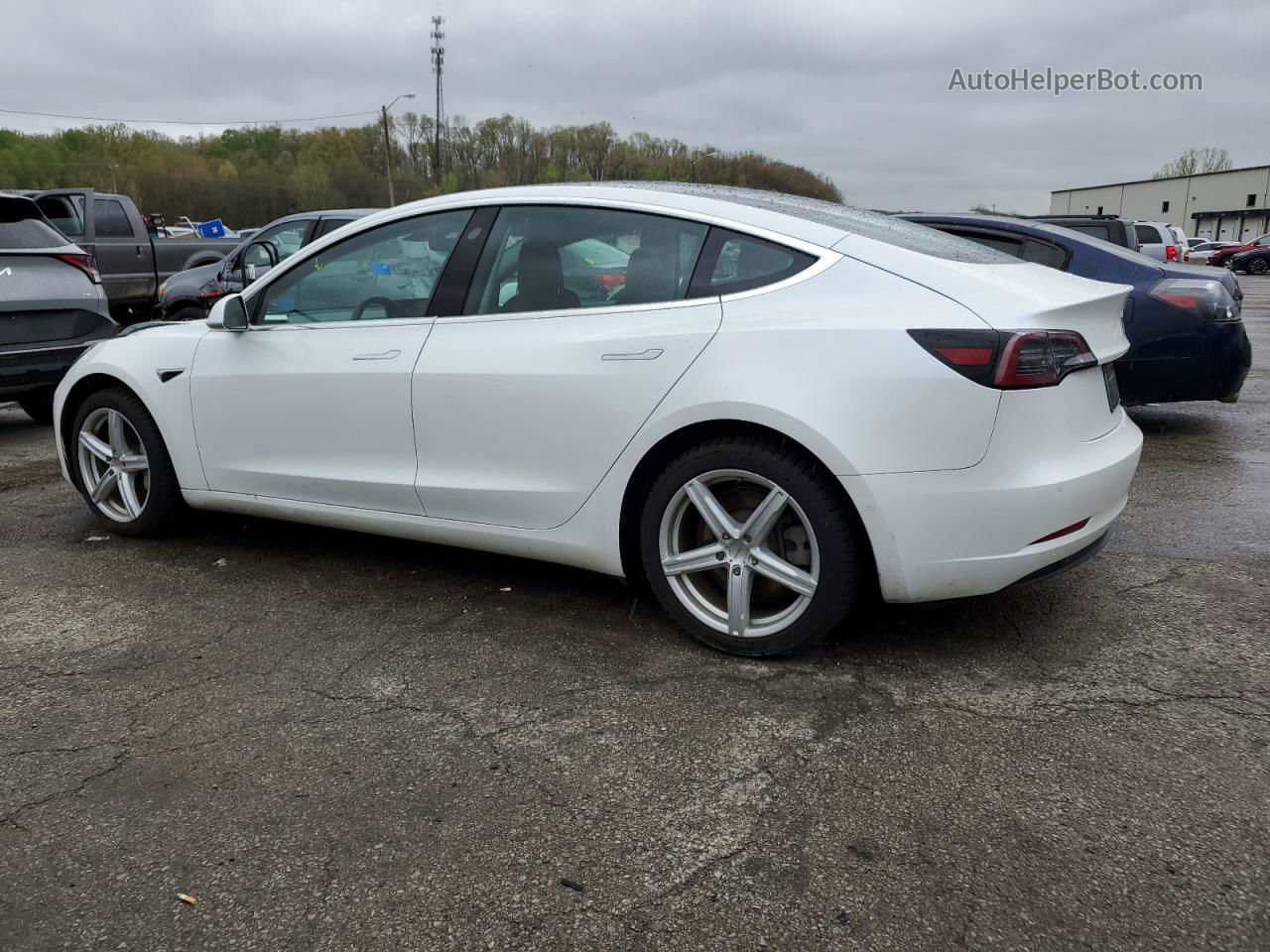 2019 Tesla Model 3  White vin: 5YJ3E1EBXKF494208