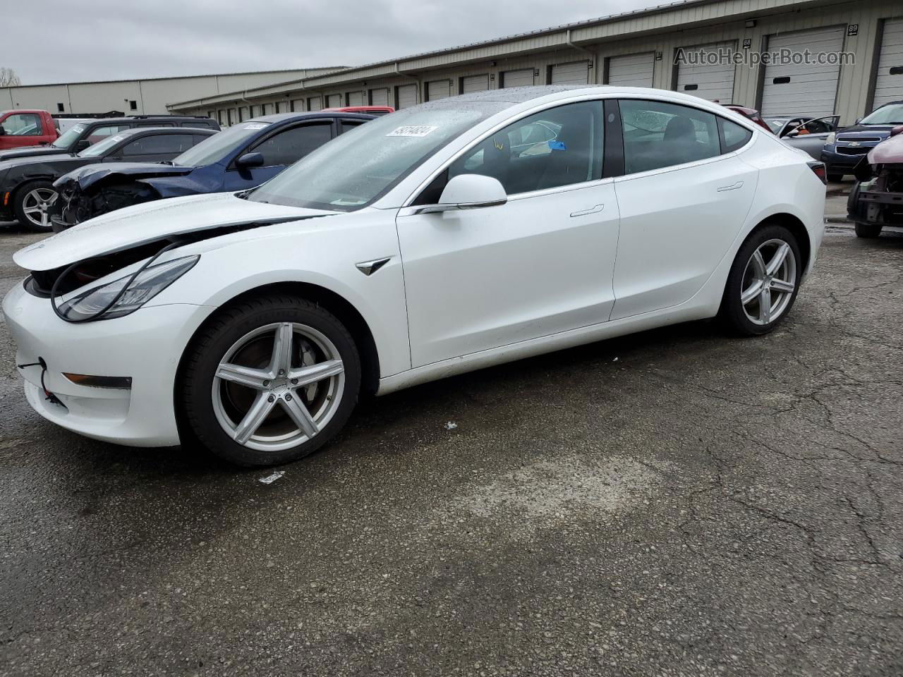 2019 Tesla Model 3  White vin: 5YJ3E1EBXKF494208