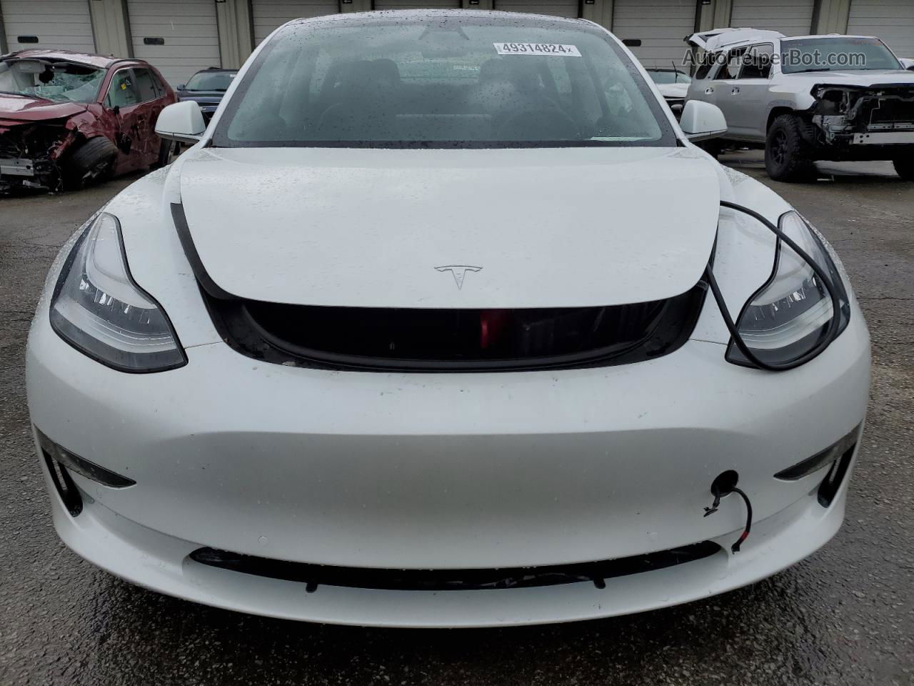 2019 Tesla Model 3  White vin: 5YJ3E1EBXKF494208