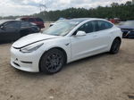 2020 Tesla Model 3  White vin: 5YJ3E1EBXLF784451