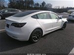 2020 Tesla Model 3 Long Range Dual Motor All-wheel Drive Белый vin: 5YJ3E1EBXLF787284