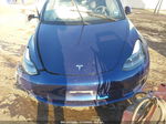 2021 Tesla Model 3 Long Range Dual Motor All-wheel Drive Blue vin: 5YJ3E1EBXMF085841