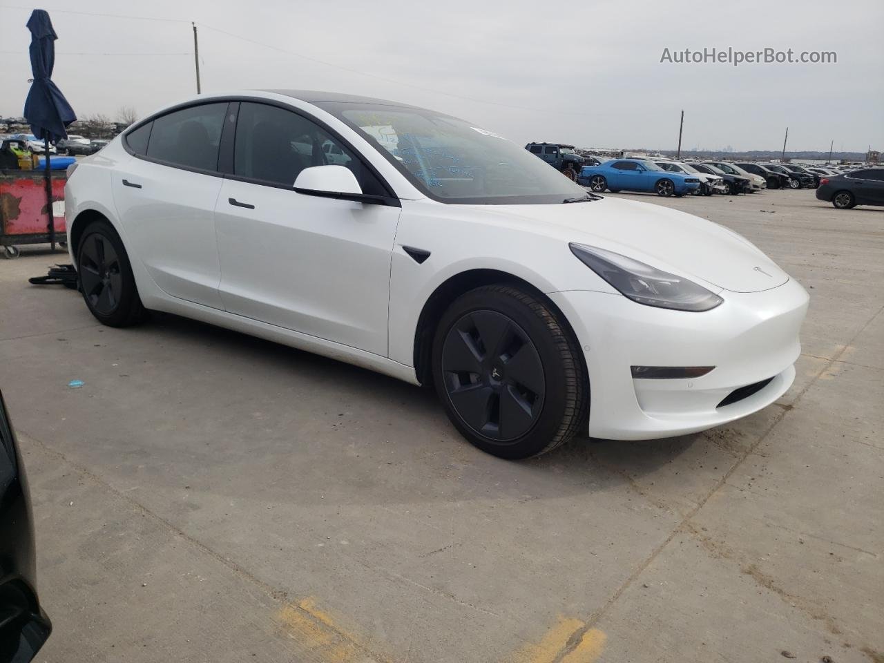 2022 Tesla Model 3  Белый vin: 5YJ3E1EBXNF169742