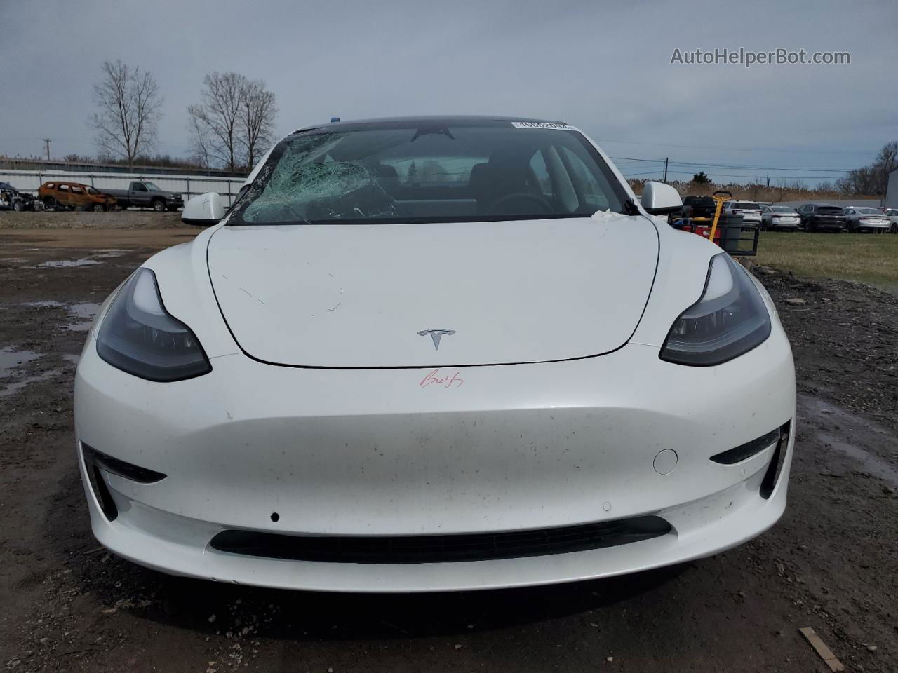 2022 Tesla Model 3  Белый vin: 5YJ3E1EBXNF271526