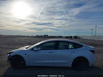 2021 Tesla Model 3 Performance Dual Motor All-wheel Drive White vin: 5YJ3E1EC4MF013428