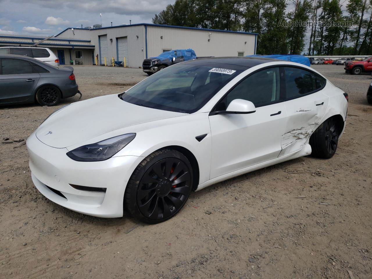 2021 Tesla Model 3  Белый vin: 5YJ3E1EC5MF064808