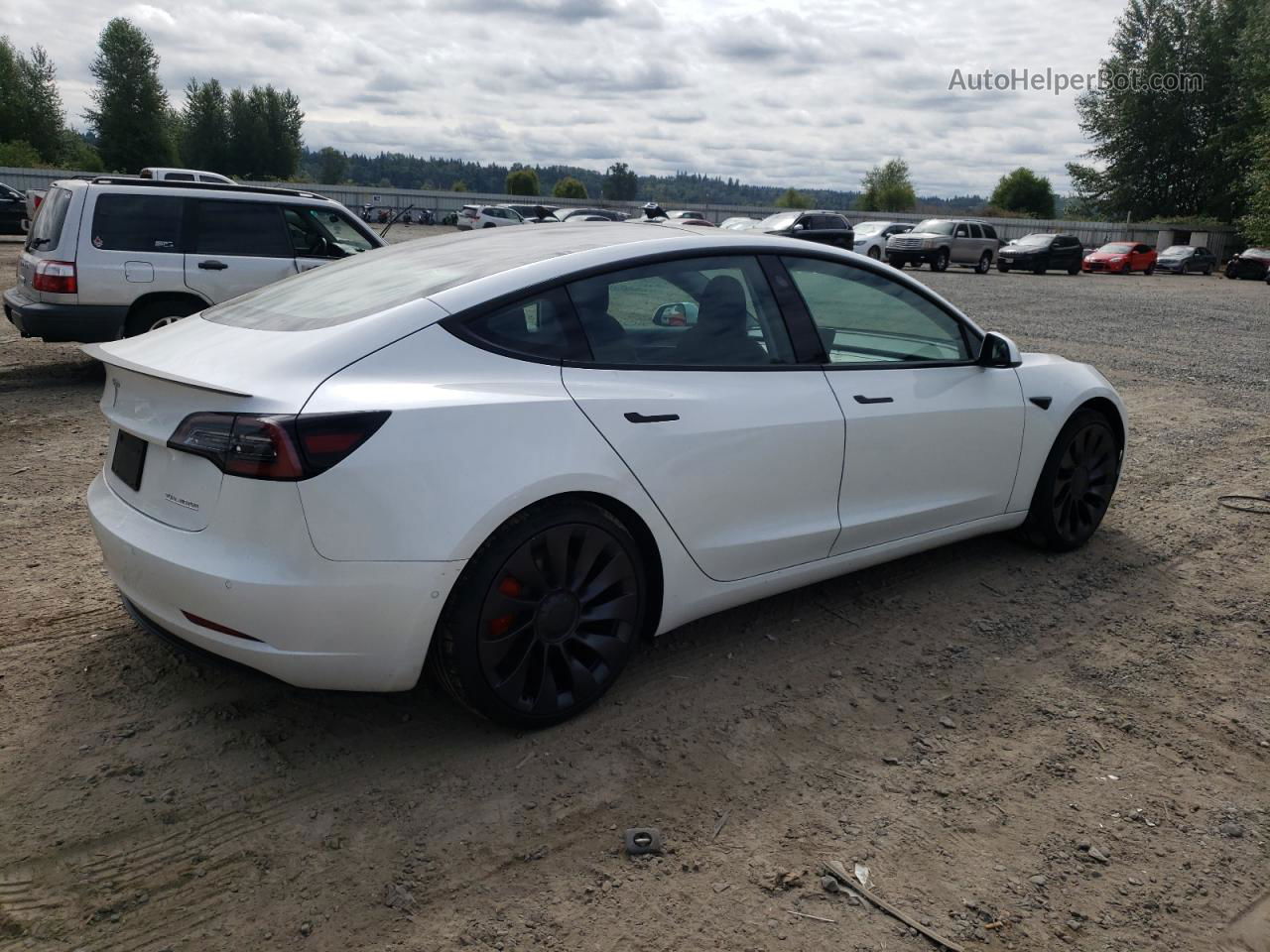 2021 Tesla Model 3  Белый vin: 5YJ3E1EC5MF064808