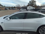 2020 Tesla Model 3 Performance Dual Motor All-wheel Drive White vin: 5YJ3E1EC6LF587074