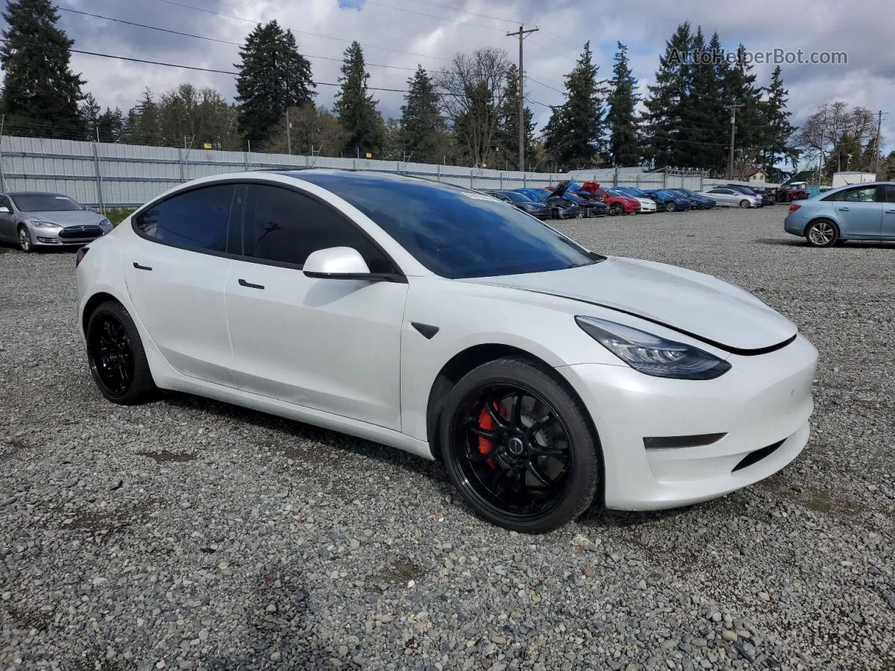 2020 Tesla Model 3  White vin: 5YJ3E1EC8LF736262