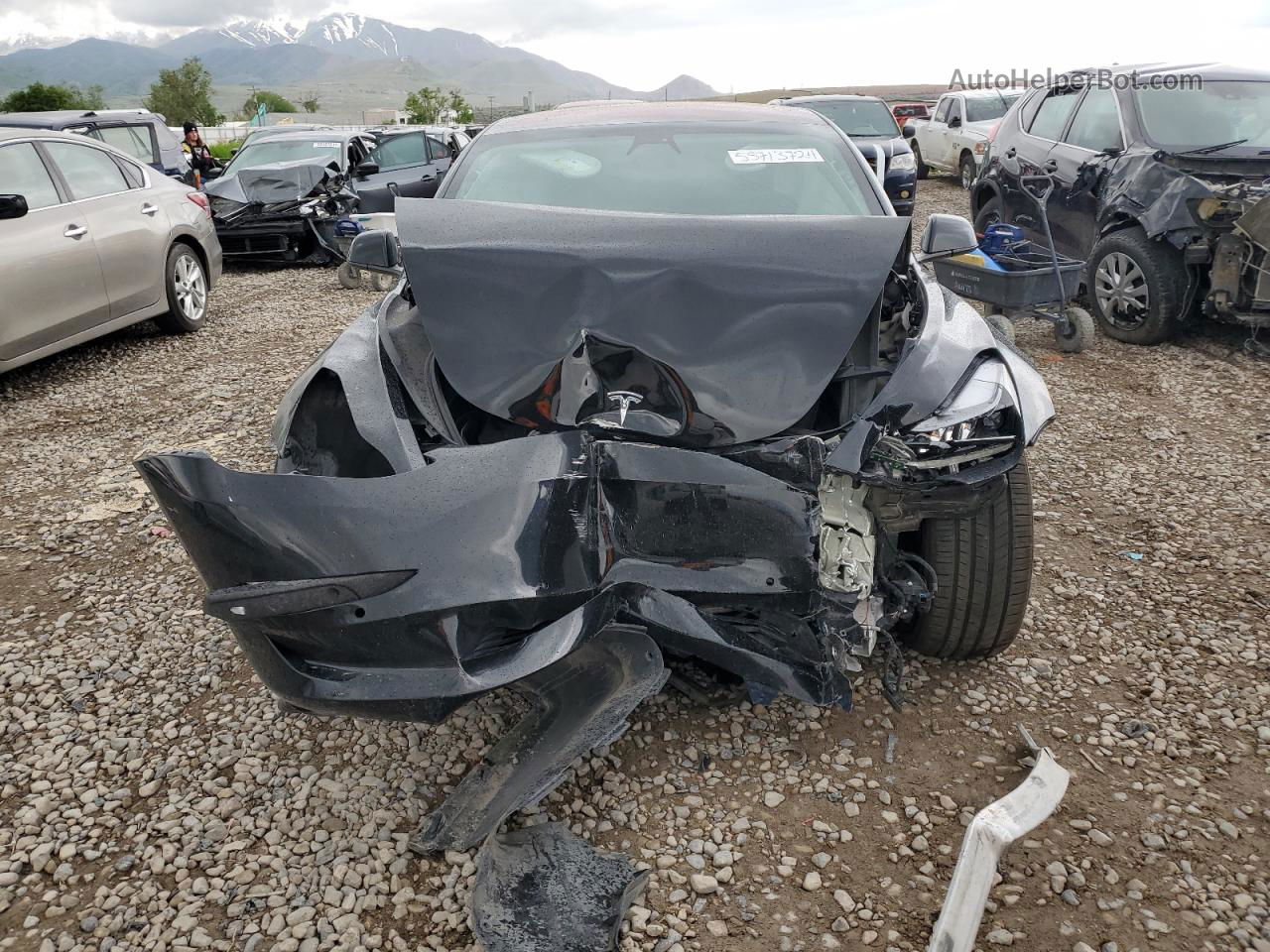 2022 Tesla Model 3  Black vin: 5YJ3E1EC9NF295423