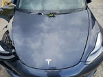 2021 Tesla Model 3  Gray vin: 5YJ3E1ECXMF077070