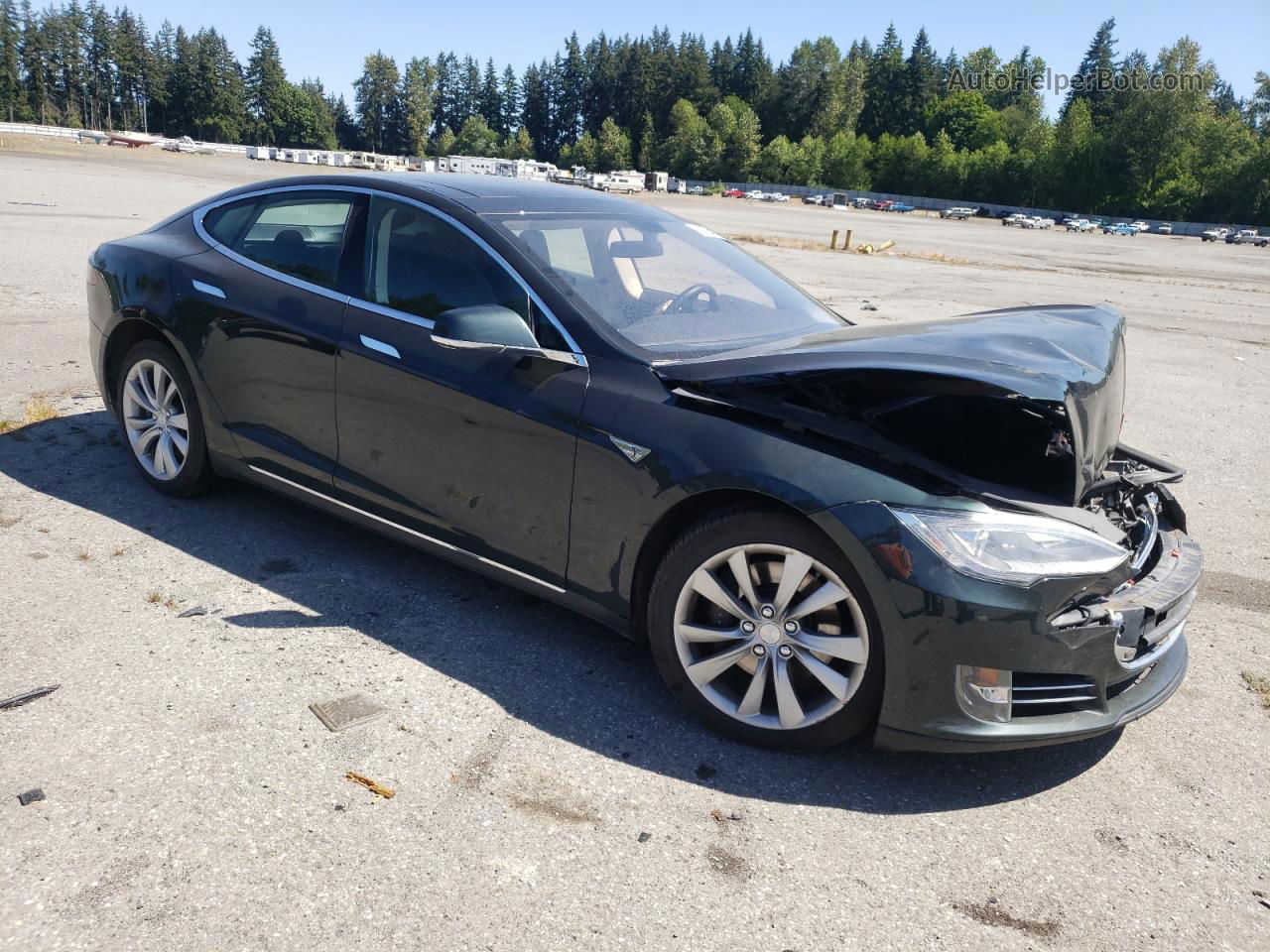 2013 Tesla Model S  Green vin: 5YJSA1CN8DFP21581