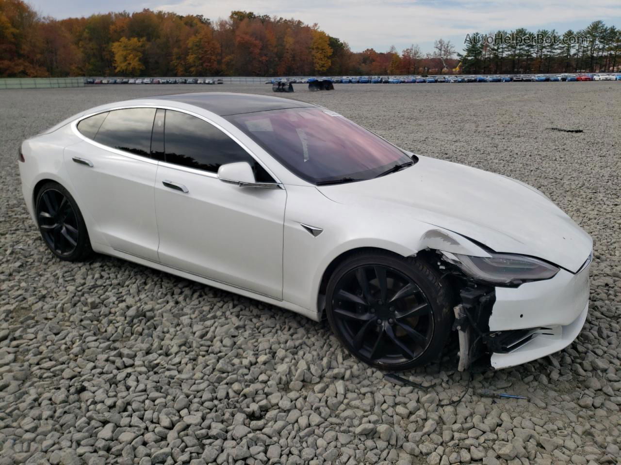 2019 Tesla Model S  Белый vin: 5YJSA1E20KF303841