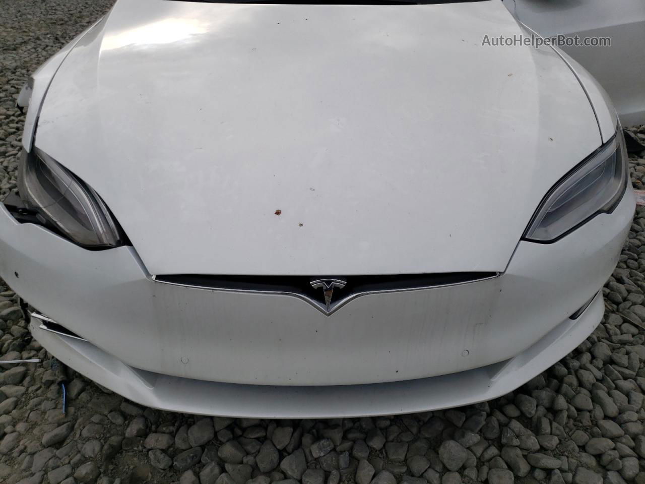 2019 Tesla Model S  Белый vin: 5YJSA1E20KF303841