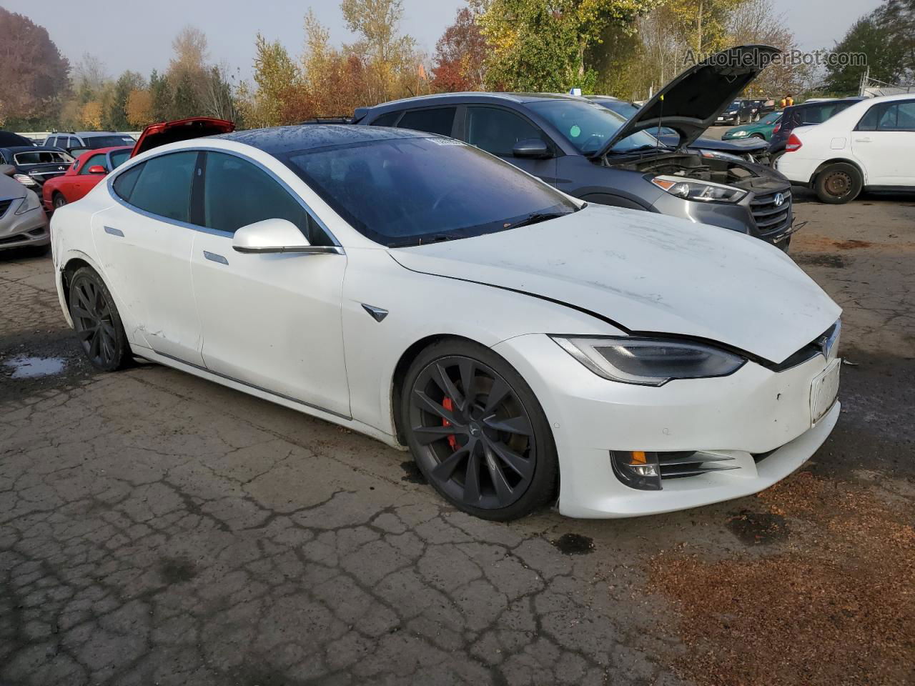 2019 Tesla Model S  White vin: 5YJSA1E49KF347760