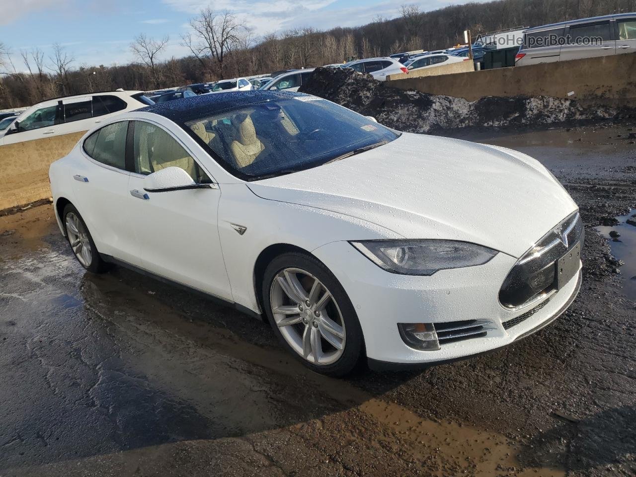 2015 Tesla Model S 85d Белый vin: 5YJSA1H25FFP69377