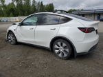 2021 Tesla Model Y  White vin: 5YJYGAED8MF132477