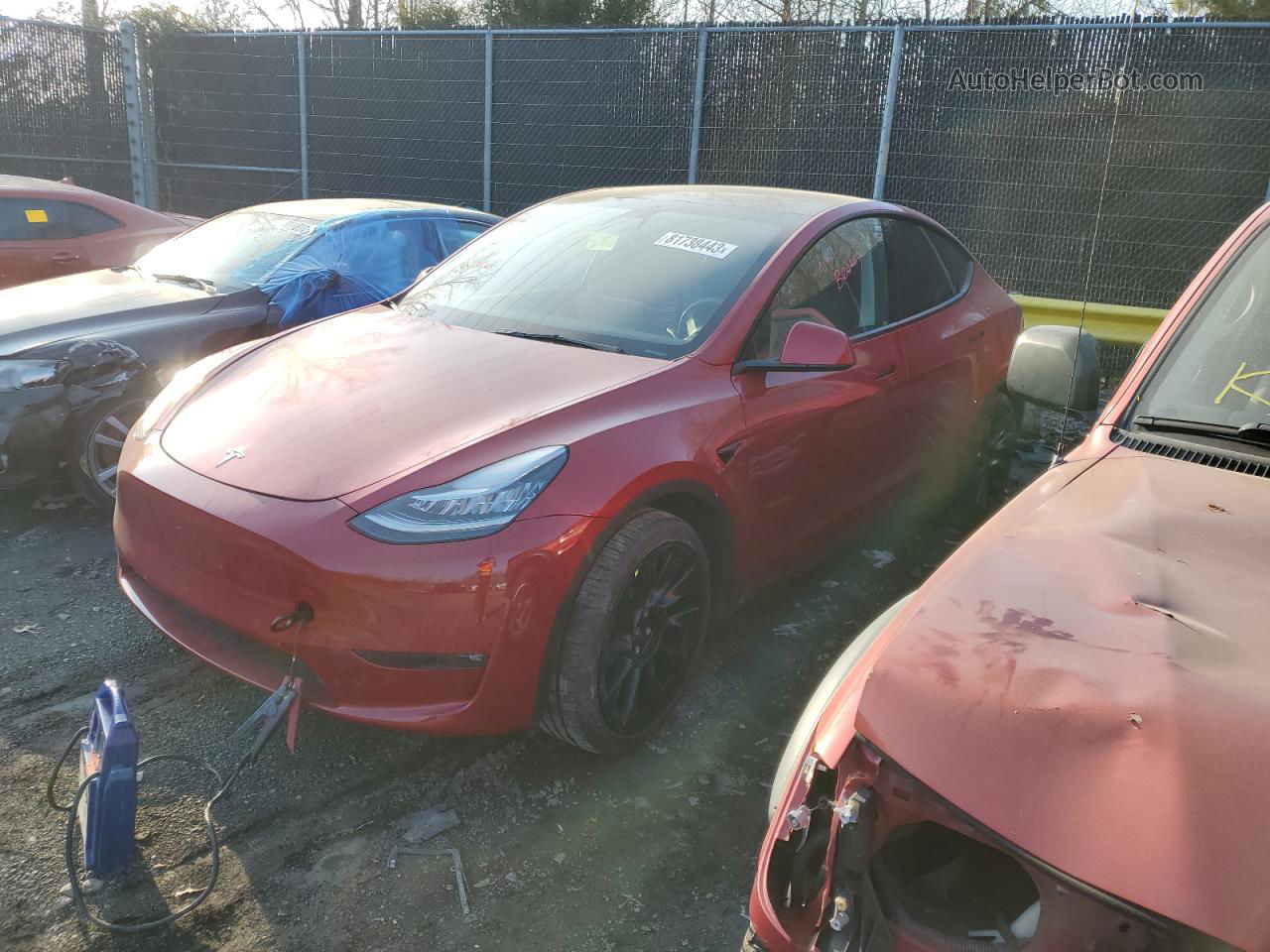 2021 Tesla Model Y  Red vin: 5YJYGAEE1MF191119