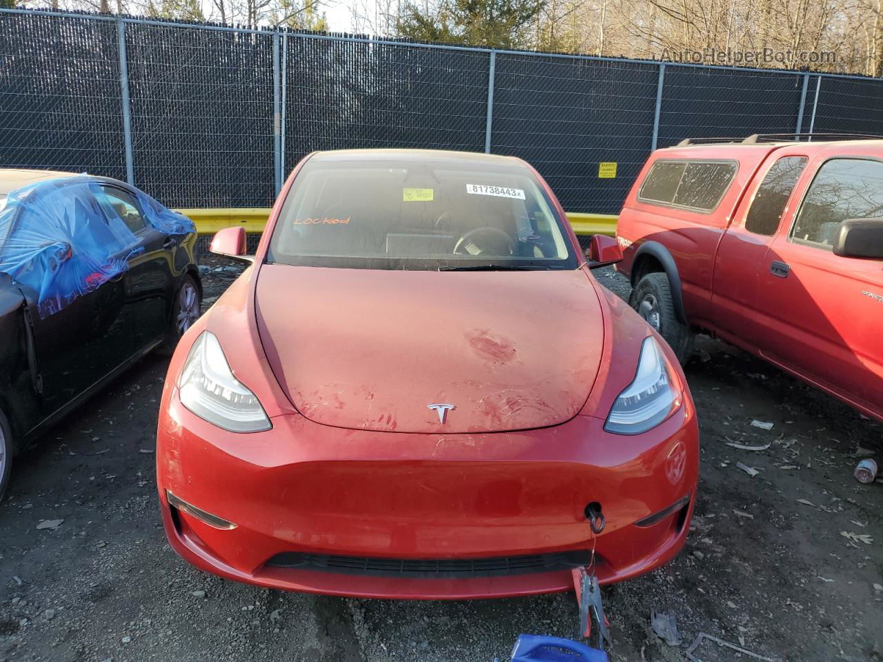 2021 Tesla Model Y  Red vin: 5YJYGAEE1MF191119