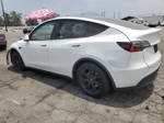 2021 Tesla Model Y  White vin: 5YJYGDED1MF104991