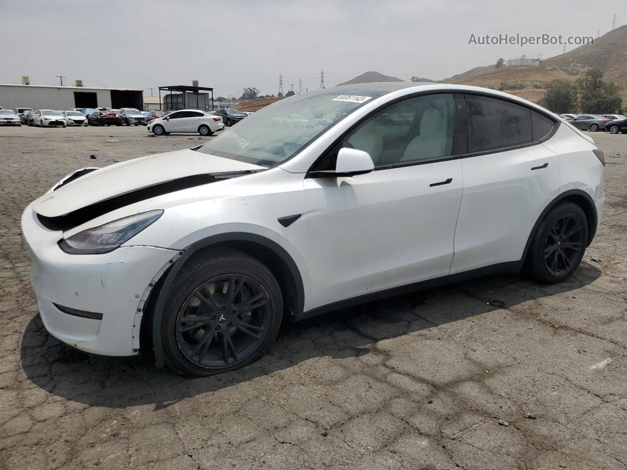 2021 Tesla Model Y  White vin: 5YJYGDED1MF104991