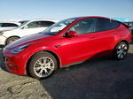 2021 Tesla Model Y  Red vin: 5YJYGDEE0MF066940